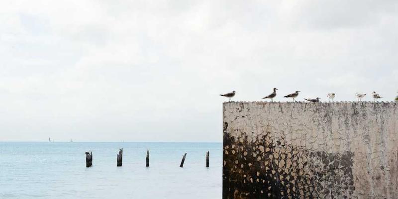 Optimizing Core Web Vitals